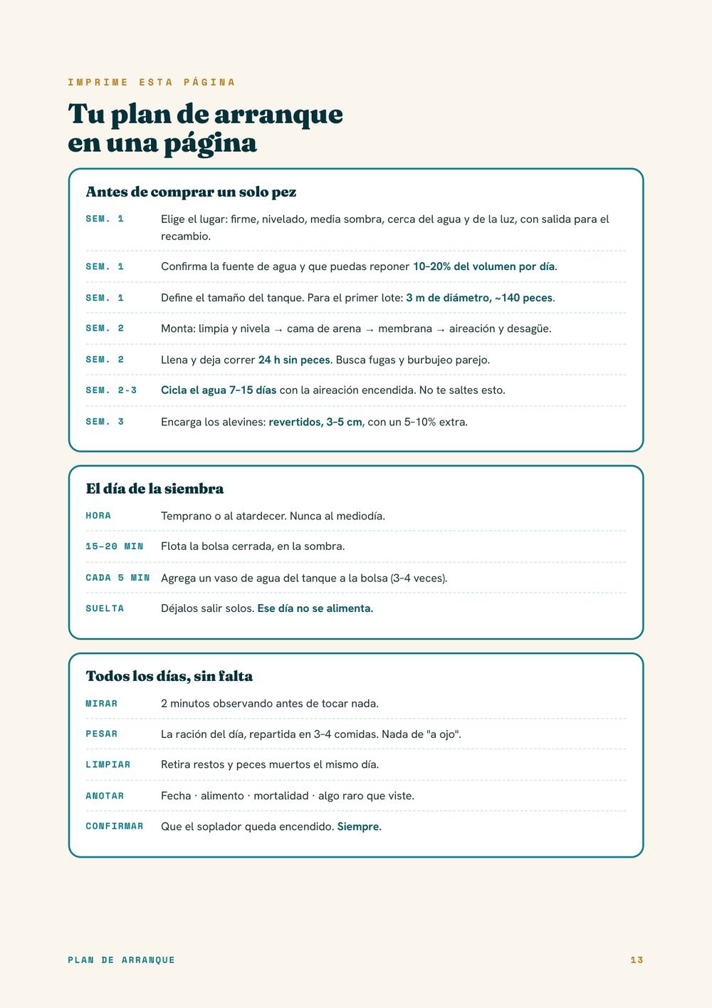 Plan de arranque en una página